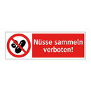 Nüsse sammeln verboten!