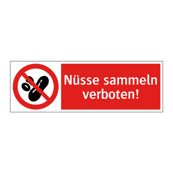 Nüsse sammeln verboten!