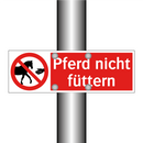 Pferd nicht füttern