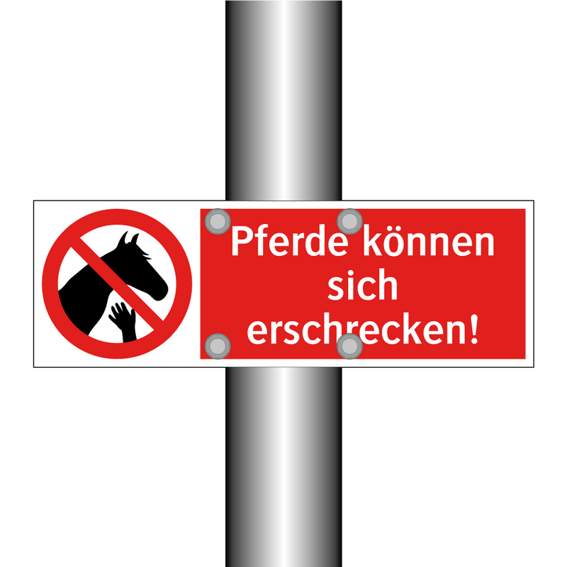 Pferde können sich erschrecken!