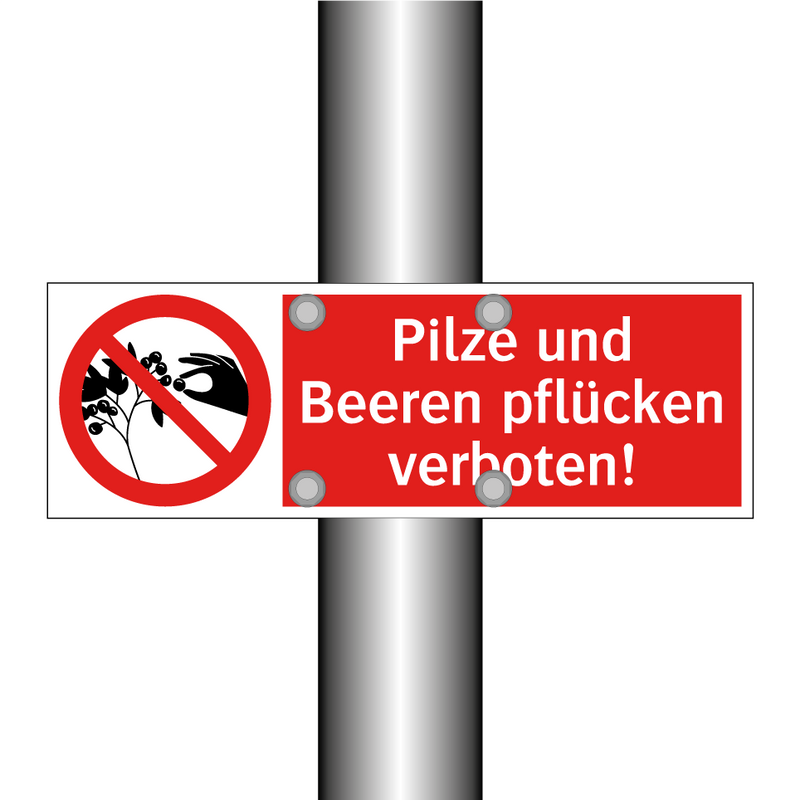 Pilze und Beeren pflücken verboten!