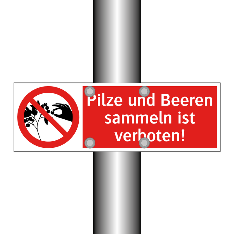 Pilze und Beeren sammeln ist verboten!