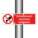 Schwammerl sammeln verboten!