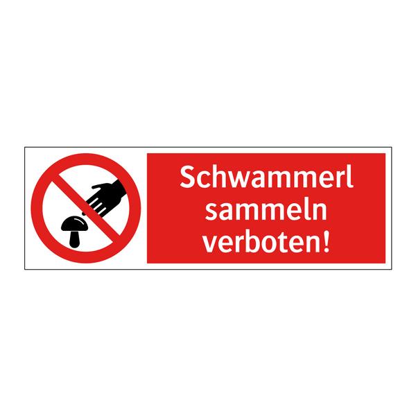 Schwammerl sammeln verboten!