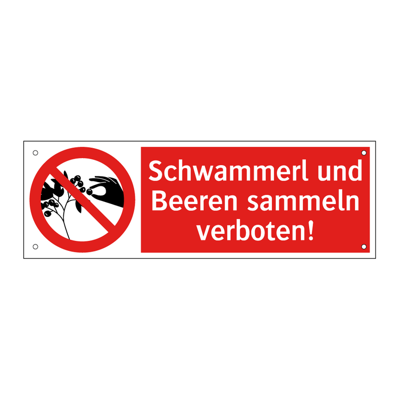 Schwammerl und Beeren sammeln verboten!