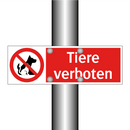 Tiere verboten