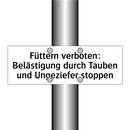 Füttern verboten: Belästigung durch Tauben und Ungeziefer stoppen