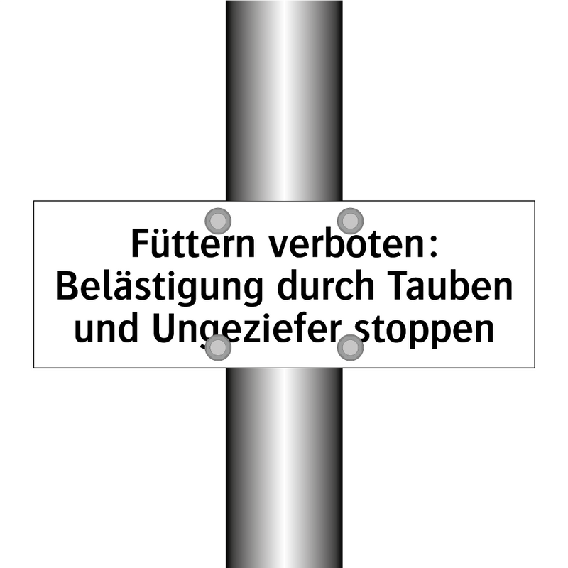 Füttern verboten: Belästigung durch Tauben und Ungeziefer stoppen