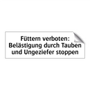 Füttern verboten: Belästigung durch Tauben und Ungeziefer stoppen