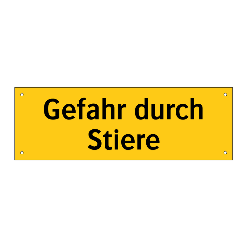 Gefahr durch Stiere