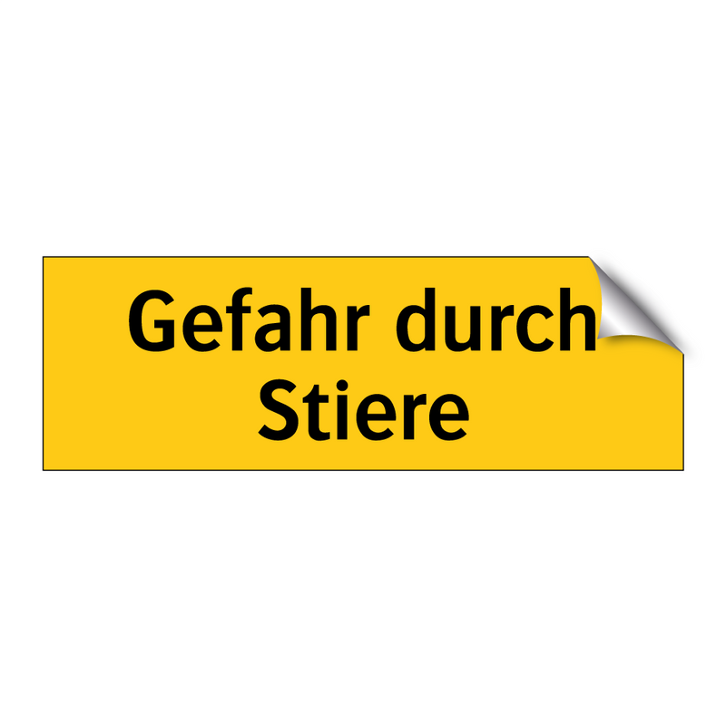 Gefahr durch Stiere
