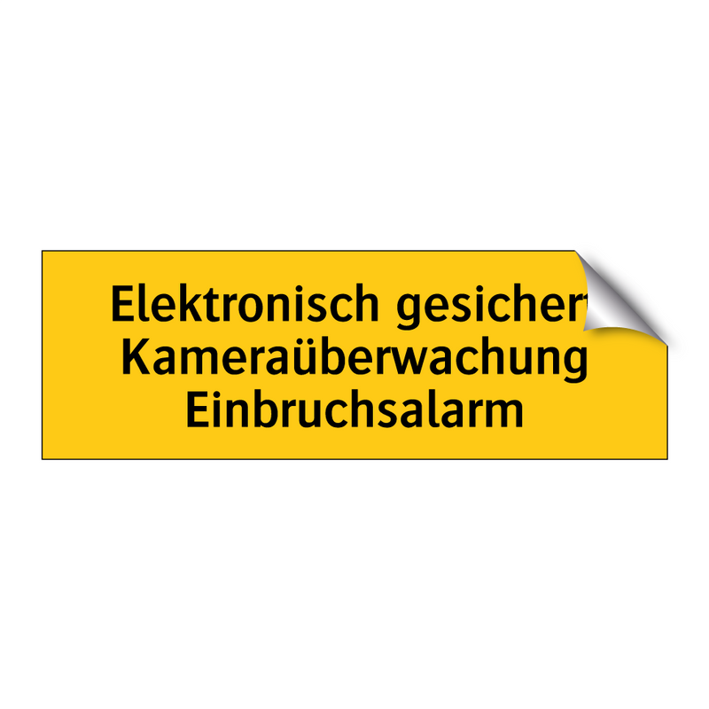 Elektronisch gesichert Kameraüberwachung Einbruchsalarm