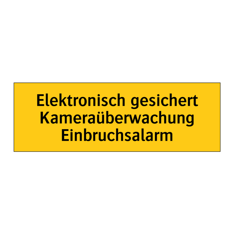 Elektronisch gesichert Kameraüberwachung Einbruchsalarm
