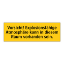 Vorsicht! Explosionsfähige Atmosphäre kann in diesem Raum vorhanden sein.