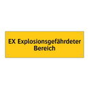 EX Explosionsgefährdeter Bereich