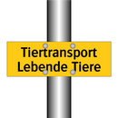 Tiertransport Lebende Tiere