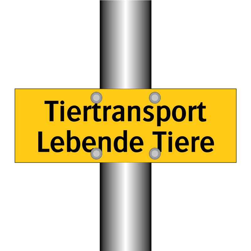 Tiertransport Lebende Tiere