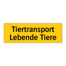 Tiertransport Lebende Tiere