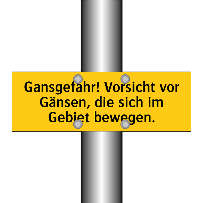 Gansgefahr! Vorsicht vor Gänsen, die sich im Gebiet bewegen.