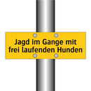 Jagd im Gange mit frei laufenden Hunden