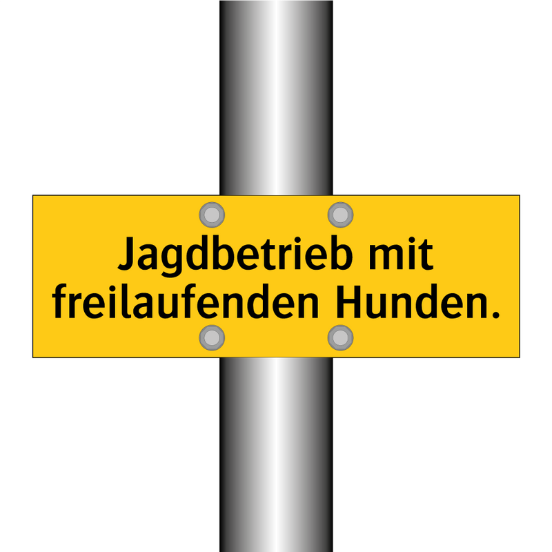 Jagdbetrieb mit freilaufenden Hunden.