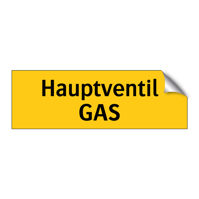 Hauptventil GAS