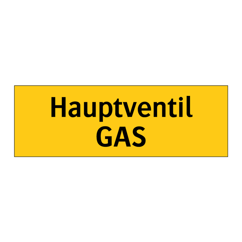 Hauptventil GAS