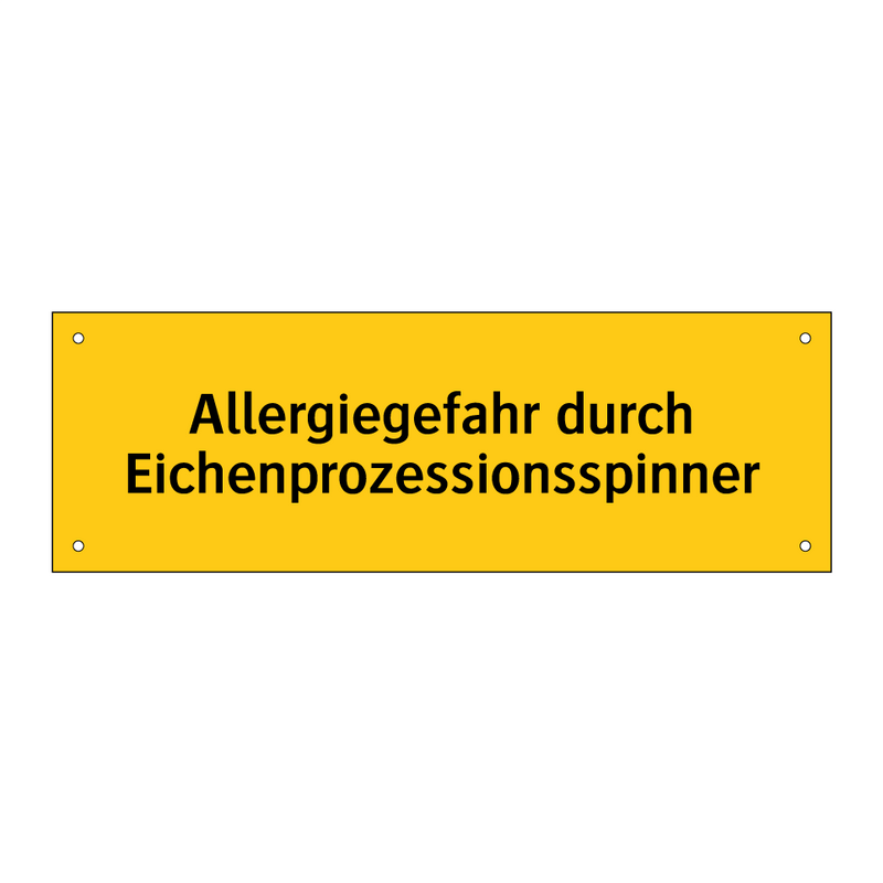 Allergiegefahr durch Eichenprozessionsspinner