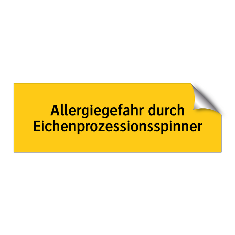 Allergiegefahr durch Eichenprozessionsspinner