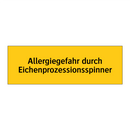 Allergiegefahr durch Eichenprozessionsspinner