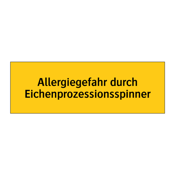 Allergiegefahr durch Eichenprozessionsspinner