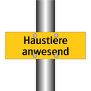 Haustiere anwesend
