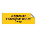 Schießen mit Bolzenschussgerät im Gange