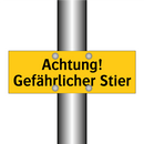 Achtung! Gefährlicher Stier