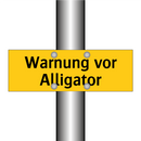 Warnung vor Alligator
