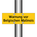 Warnung vor Belgischen Malinois