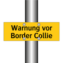 Warnung vor Border Collie