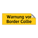 Warnung vor Border Collie