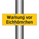 Warnung vor Eichhörnchen