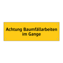 Achtung Baumfällarbeiten im Gange