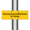Achtung Baumfällarbeiten im Gange