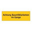 Achtung Baumfällarbeiten im Gange