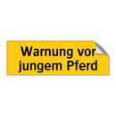 Warnung vor jungem Pferd