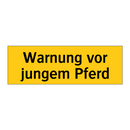 Warnung vor jungem Pferd