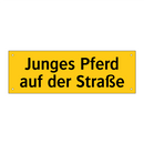 Junges Pferd auf der Straße