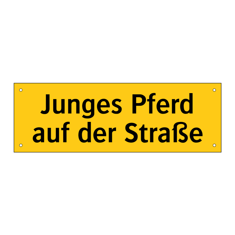 Junges Pferd auf der Straße