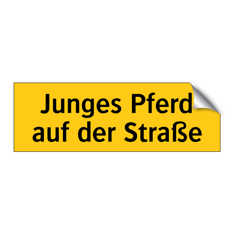 Junges Pferd auf der Straße