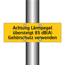 Achtung Lärmpegel übersteigt 85 dB(A) Gehörschutz verwenden