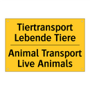 Tiertransport Lebende Tiere - Animal Transport Live Animals
