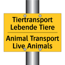 Tiertransport Lebende Tiere - Animal Transport Live Animals